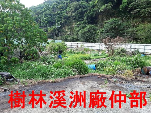 新莊農地-5