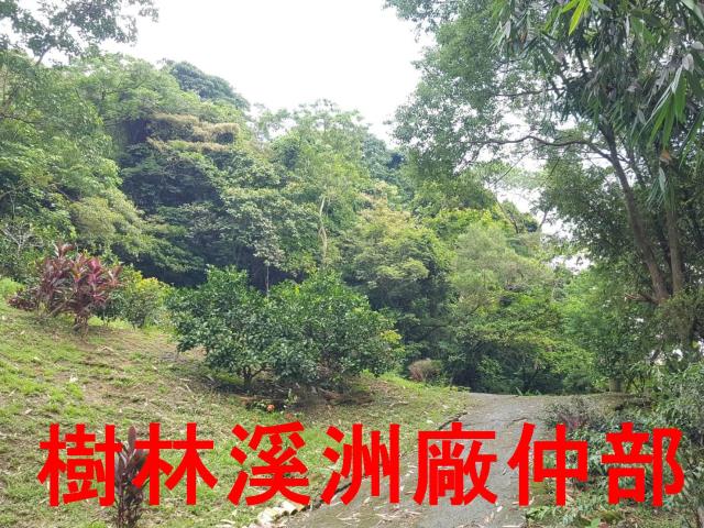 樹林農地-9