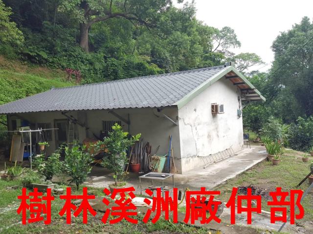 樹林農地-1