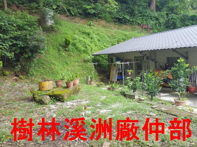 樹林農地-2
