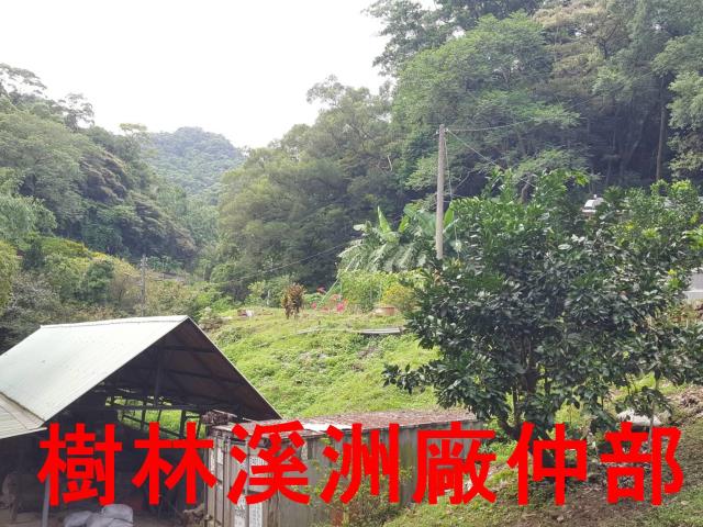 樹林農地-6