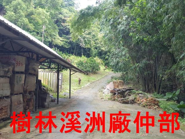 樹林農地-8