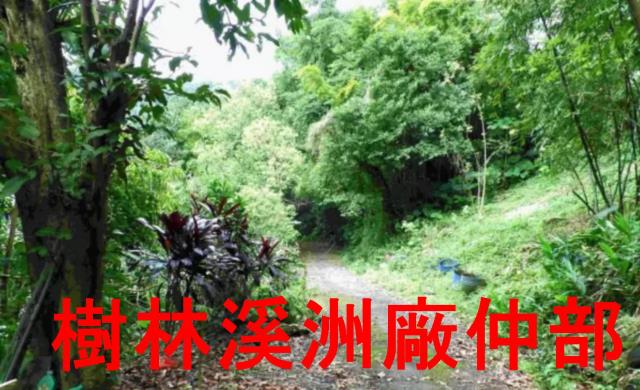 土城林地-1