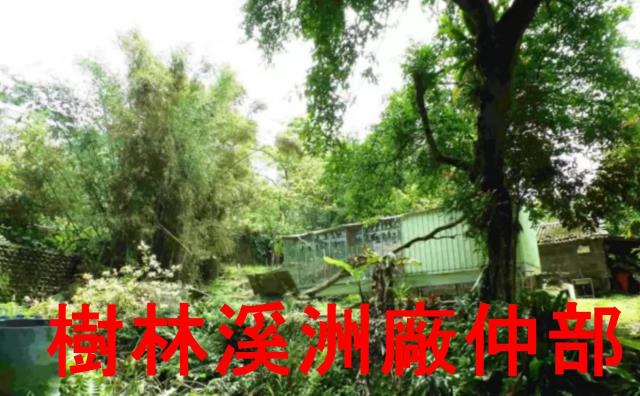 土城林地-4