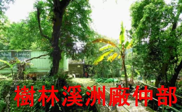 土城林地-5