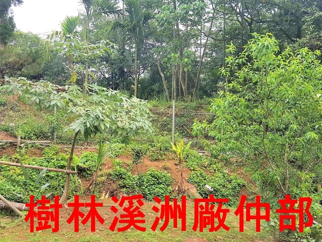 土城農地-2