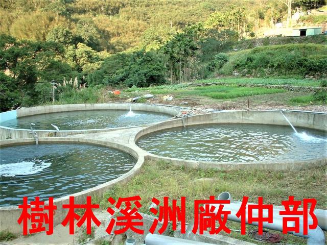 三峽農地-2