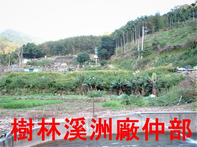 三峽農地-3