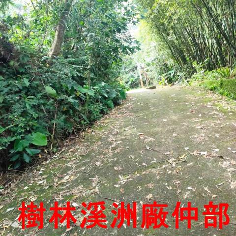 新北林地-8
