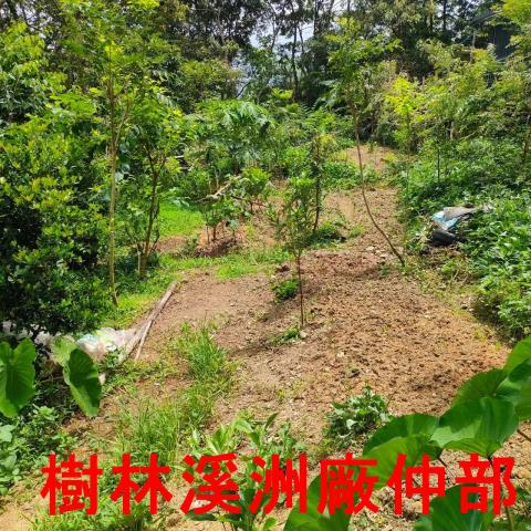 新北林地-4