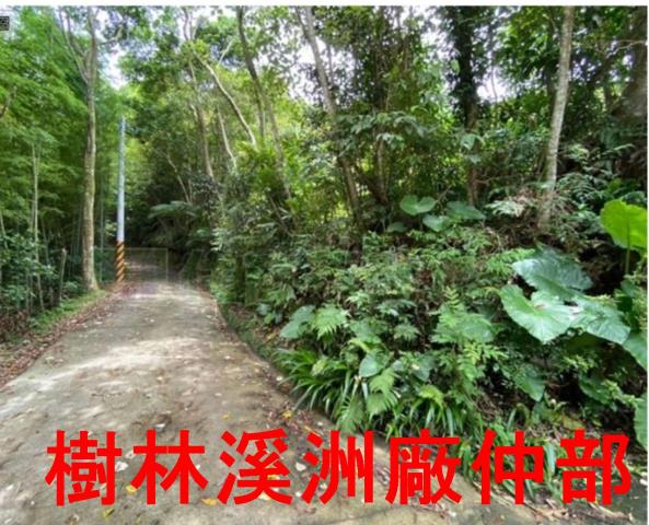 新北林地-5