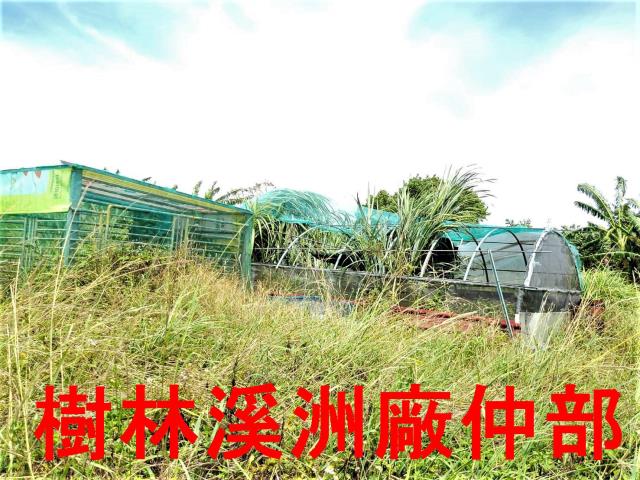 新北石門農地-7