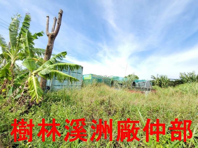 新北石門農地-8