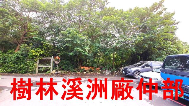 新北樹林農地-0