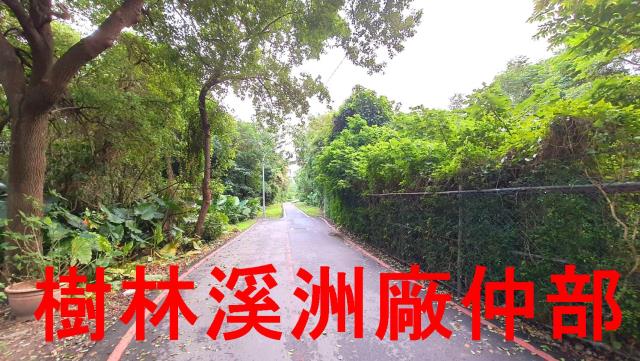 新北樹林農地-1