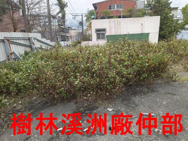 龜山山坡地-9