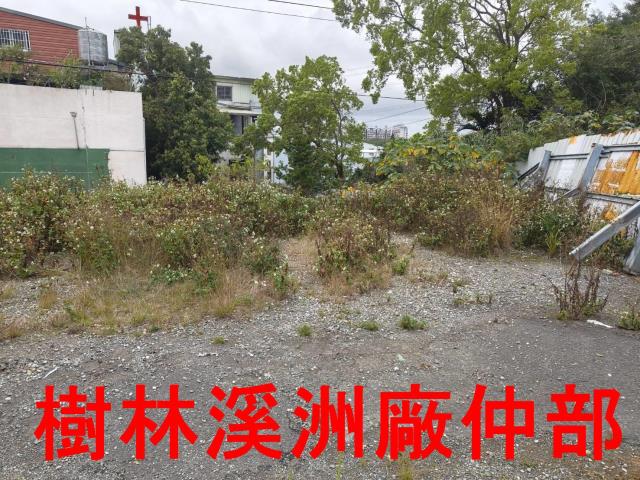 龜山山坡地-1