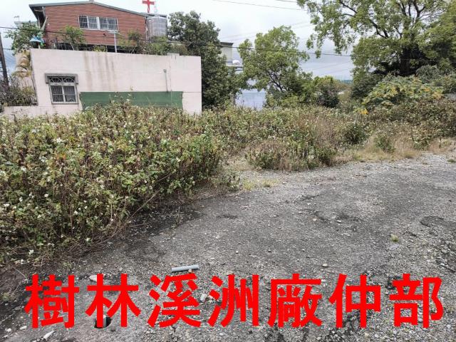 龜山山坡地-3
