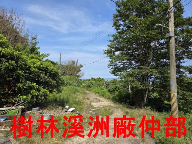 宜蘭頭城林地-1