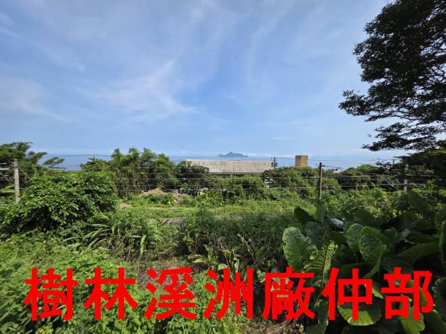 宜蘭頭城林地-3