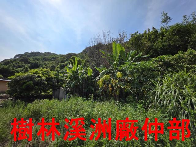 宜蘭頭城林地-5