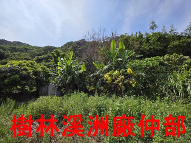 宜蘭頭城林地-6