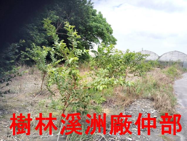 溪湖農地-2