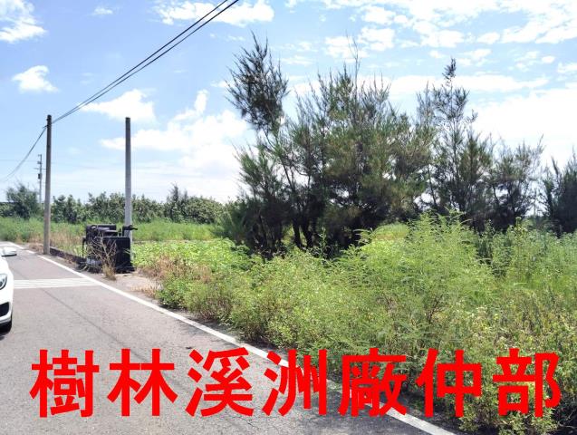 大城農地-0